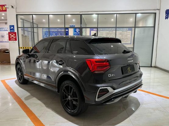 Audi Q2 L 36700 (8)