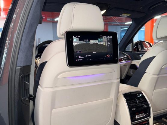 BMW X7 (46)