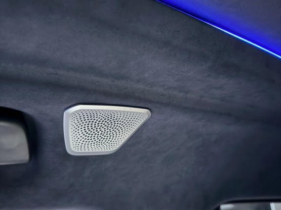 BMW X7 (50)