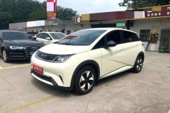 BYD Dolphin 3000 (1)