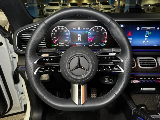 Mercedes GLE450 8000 (19)