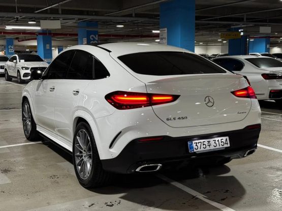 Mercedes GLE450 8000 (6)